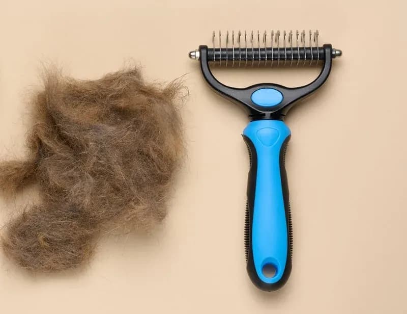 How to prevent matting in long-haired dogs and cats, tips from Happy Pets San Jose